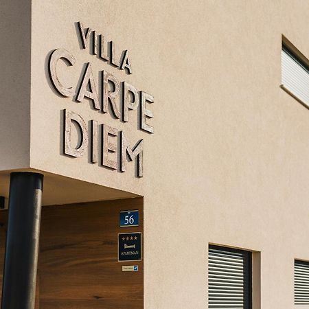 Villa Carpe Diem Cepljani Εξωτερικό φωτογραφία