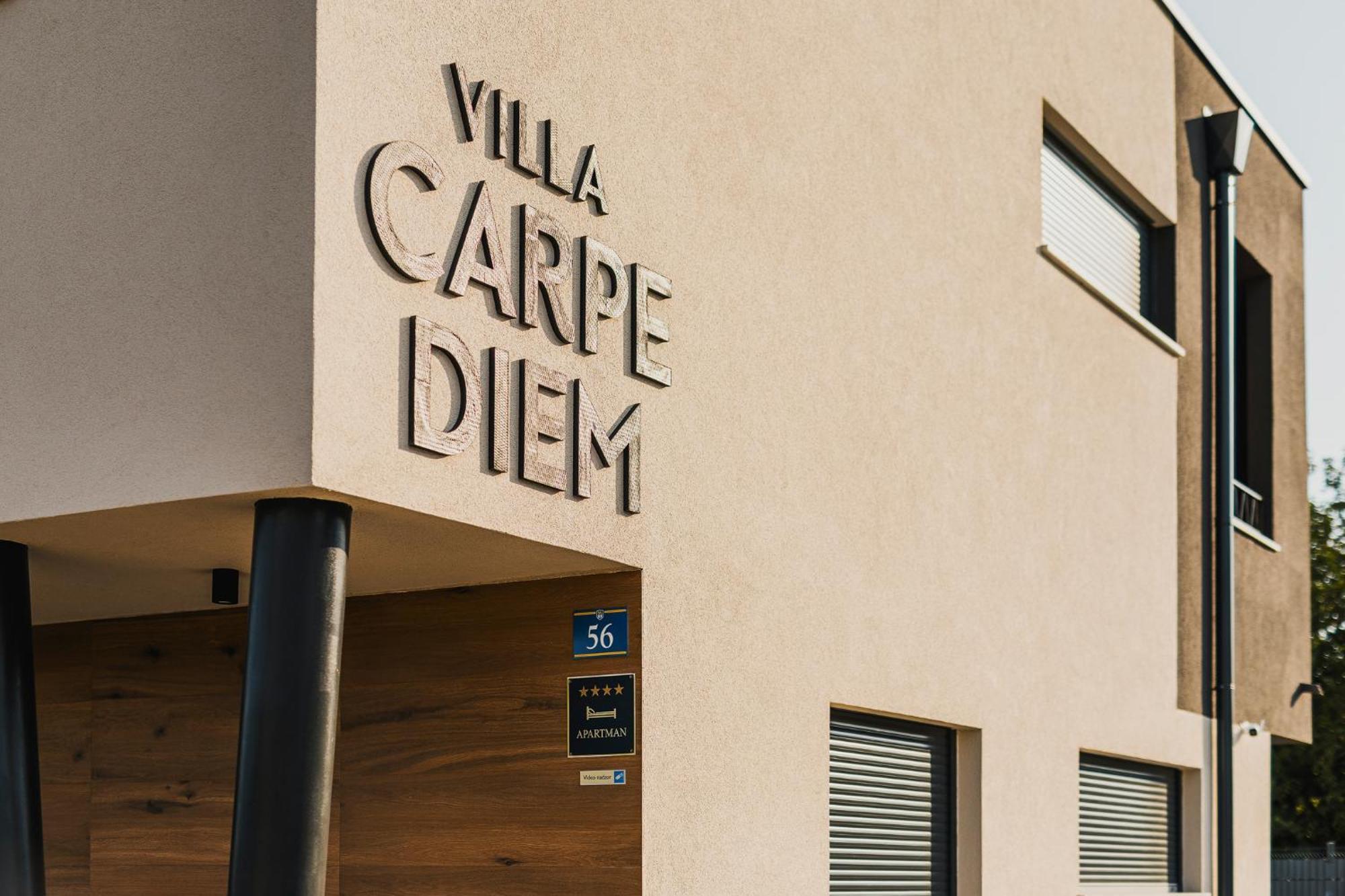 Villa Carpe Diem Cepljani Εξωτερικό φωτογραφία
